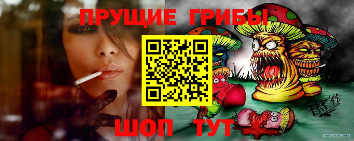 Псилоцибиновые грибы ЛСД  Вход с VPN  Кисловодск 